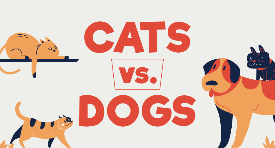 Image Classfication: Cats & Dogs