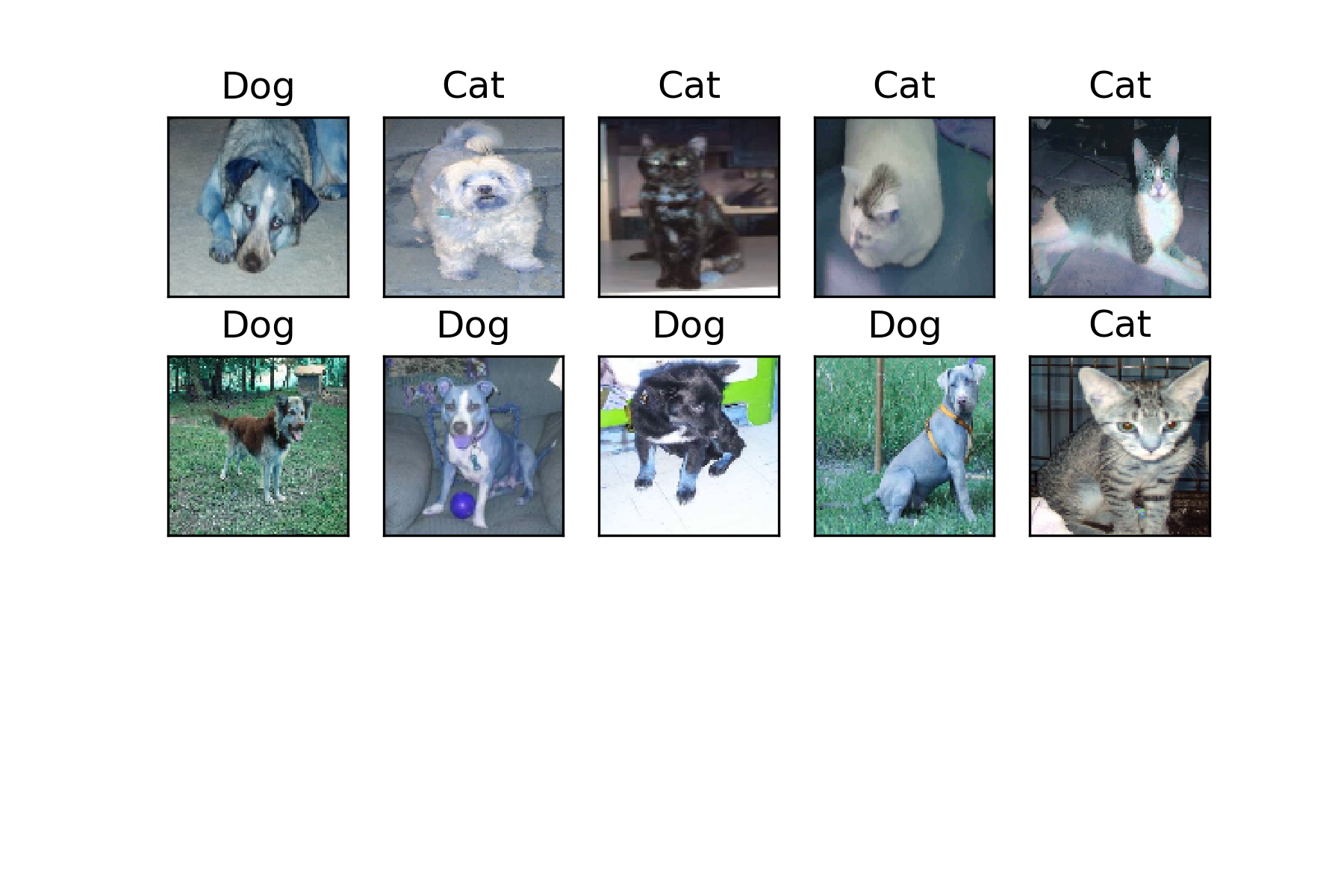 Test the model